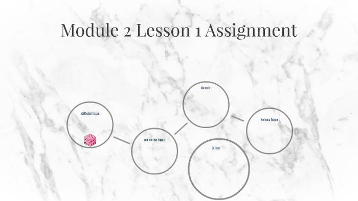 Module 2 Lesson 1 Assignment by Aaliyah Martin on Prezi