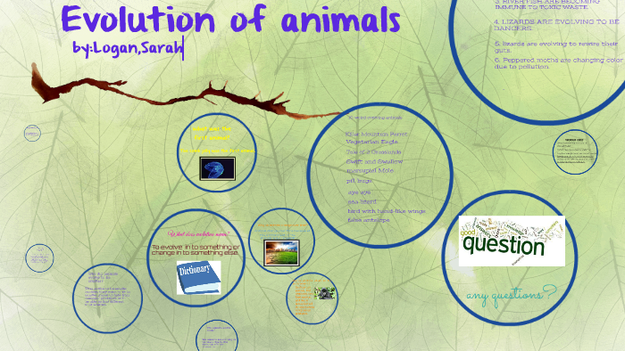 Evolution of animals by: awesome people by MTV anchor on Prezi