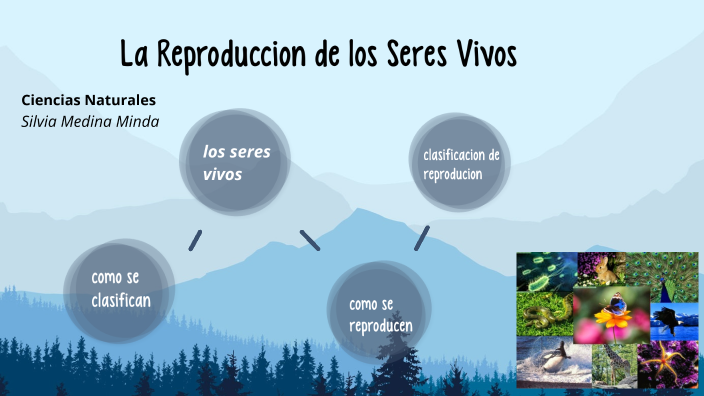 La Reproducción De Los Seres Vivos By Silvia Medina Minda シ On Prezi