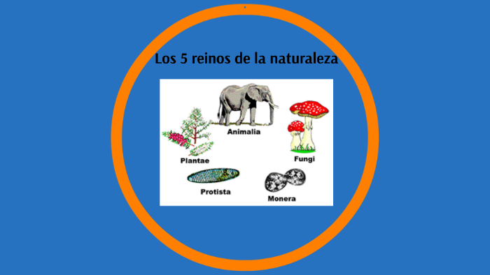 LOS 5 REINOS DE LA NATURALEZA by Franco Santacruz on Prezi