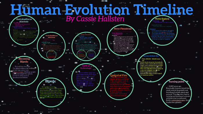 human evolution timeline for kids