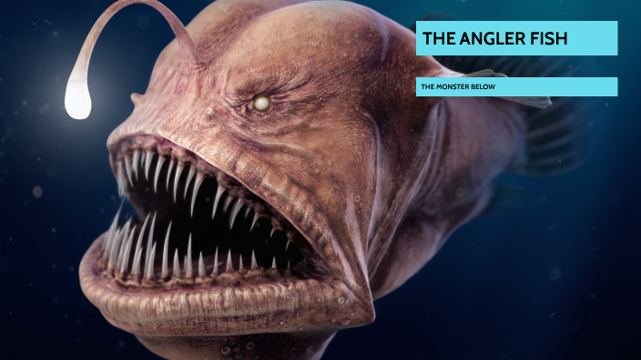 The Angler Fish by Taylor Harrington on Prezi