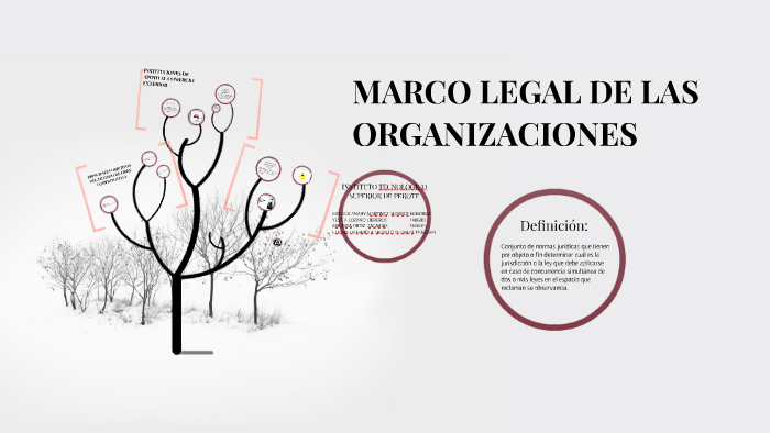 MARCO LEGAL DE LAS ORGANIZACIONES by elizabeth trujillo on Prezi
