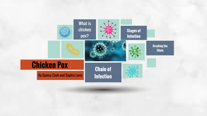 Chicken Pox Chain of Infection by quincy cook on Prezi