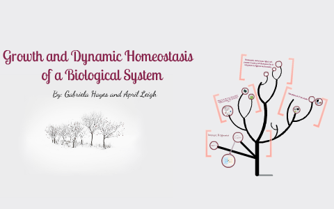 Homeostasis Drawing / Homeostasis is the maintenance of a constant