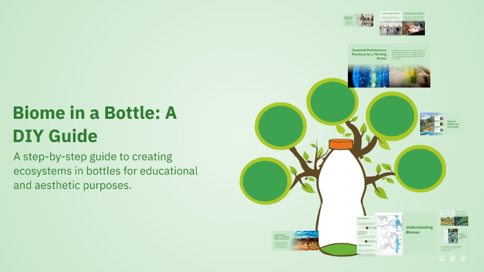 Biome in a Bottle: A DIY Guide by Syv Cremedelacreme on Prezi
