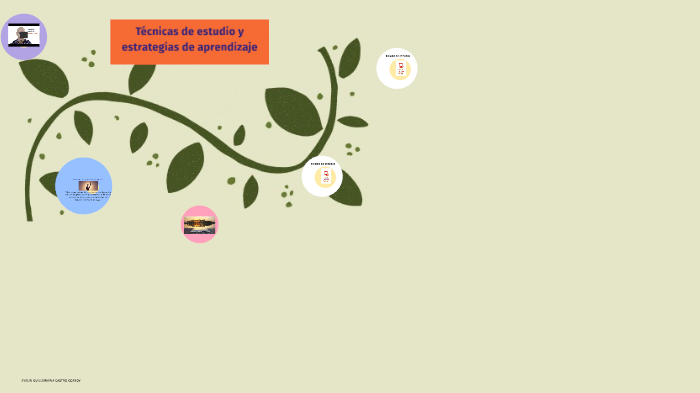 TÉCNICAS DE ESTUDIO Y ESTRATEGIAS DE APRENDIZAJE by evelin castro on Prezi