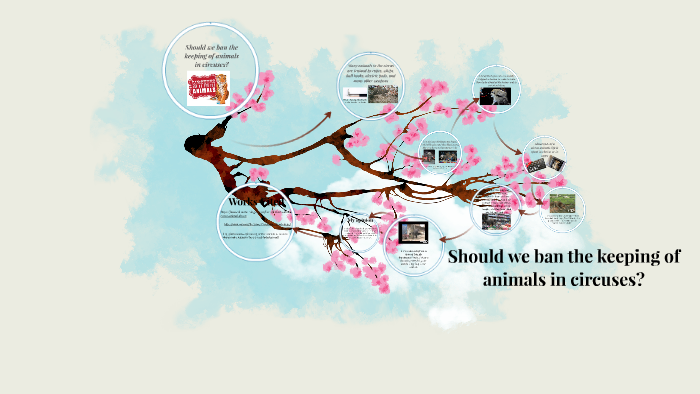 Should we ban the keeping of animals in circuses? by Hannah Mcniff on Prezi