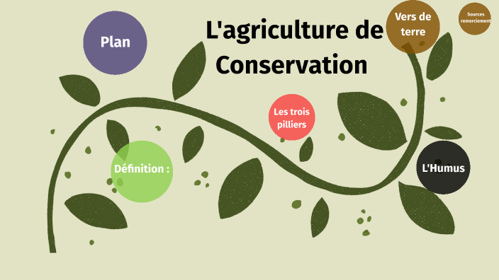 Les Principes De Lagriculture De Conservation Des Sols By Matsyl Morgi On Prezi 5147