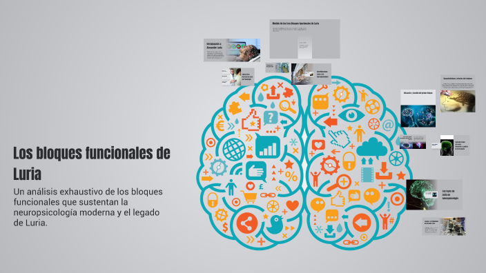 Los bloques funcionales de Luria by Claudia Quipuzco on Prezi