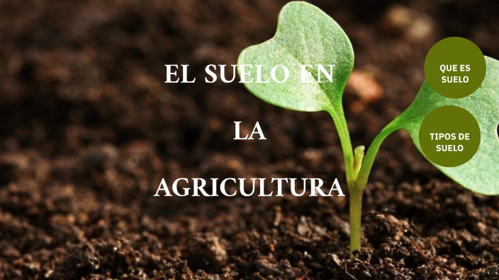 EL SUELO EN LA AGRICULTURA by Prodesal San Rafael on Prezi