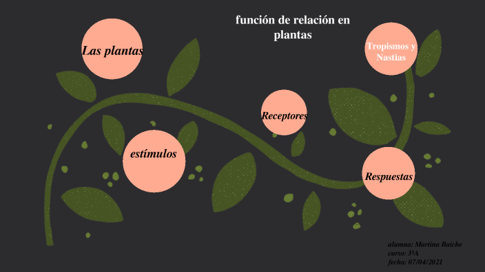 FUNCION DE RELACION EN LAS PLANTAS by martina baiche on Prezi