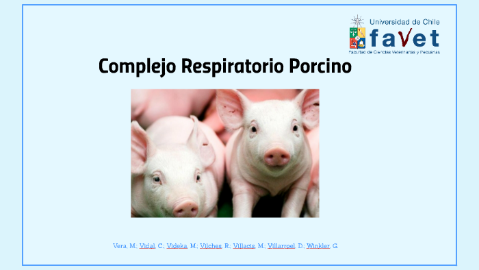 Complejo Respiratorio Porcino By Muriel Vera Sasso On Prezi