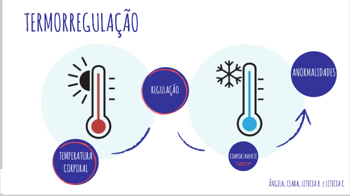TERMORREGULAÇÃO by Leticia Balestra on Prezi