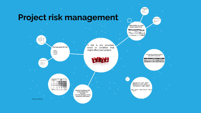 Project risk management by Oksana Mukan on Prezi