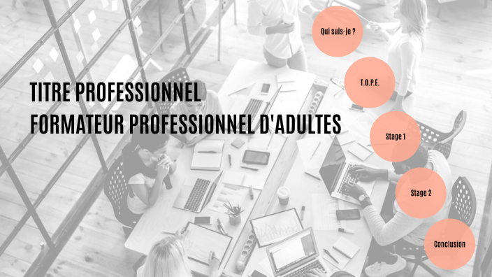 Dossier Professionnel Fpa Exemple Rempli Gratuit DOSSIER PROFESSIONNEL FPA PATRICE GANTEL by Patri Patrice on Prezi