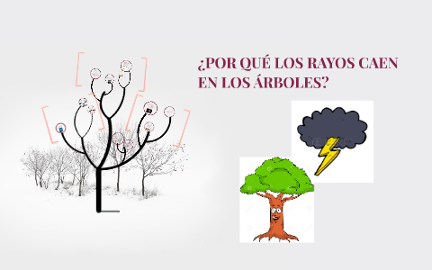 POR QUÉ LOS RAYOS CAEN EN LOS ÁRBOLES? by Joan Net on Prezi Next