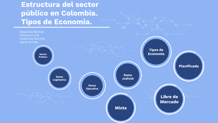 Estructura del sector publico en Colombia. Tipos de economía. by