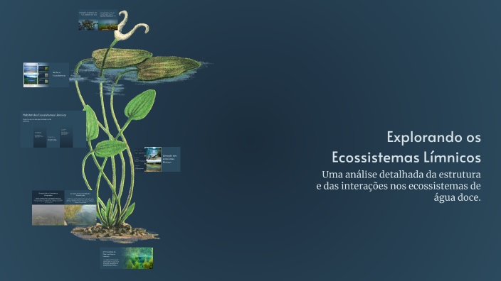 Explorando os Ecossistemas Límnicos by Diógenes Almeida on Prezi