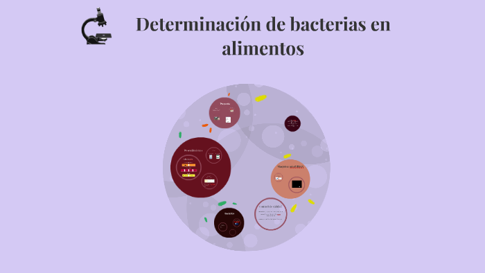 Determinación de bacterias en alimentos by yolanda garcia lopez on Prezi