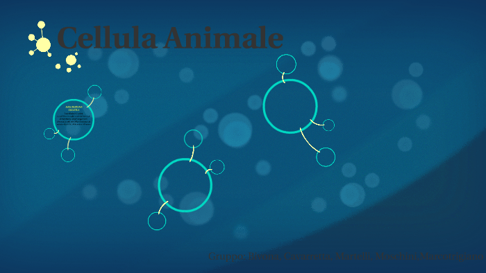 Cellula Animale by Mattia Bivona on Prezi