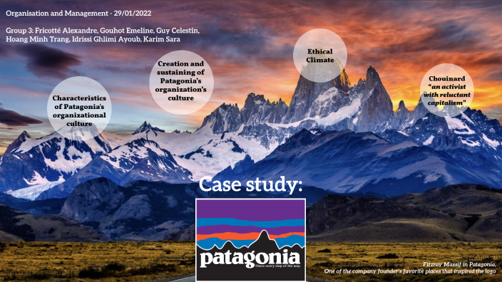 patagonia case study free pdf