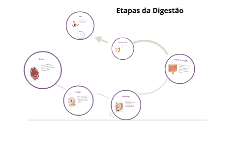 Etapas da Digestão by Lipe Cm on Prezi