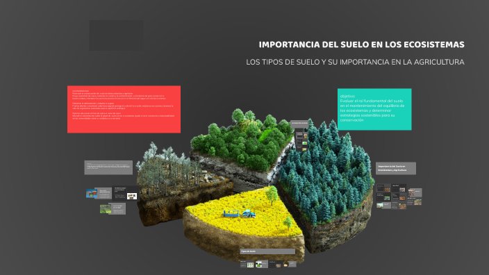 IMPORTANCIA DEL SUELO EN LOS ECOSISTEMAS by Smith Aquepucho Luna on Prezi