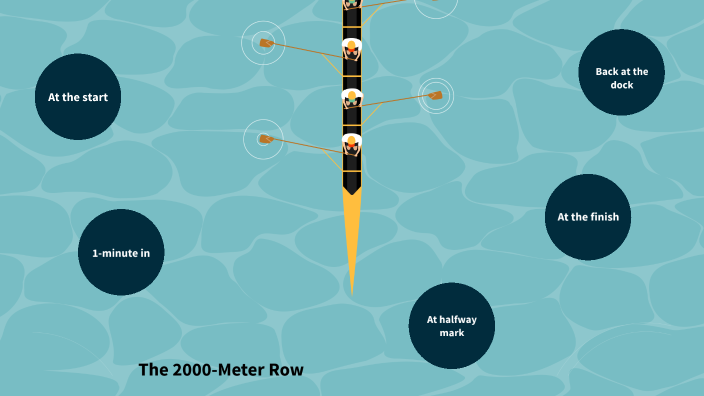 a-case-of-homeostasis-during-exercise-the-2000-meter-row-by-sarena-yang