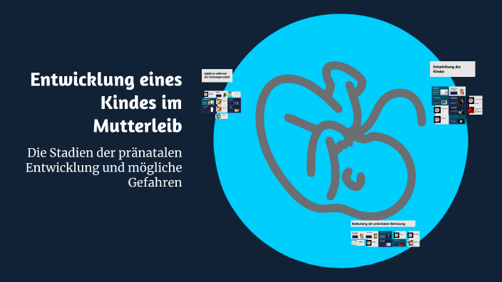 Entwicklung eines Kindes im Mutterleib by L K on Prezi