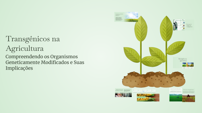 Transgênicos na Agricultura by guizera 1233 on Prezi