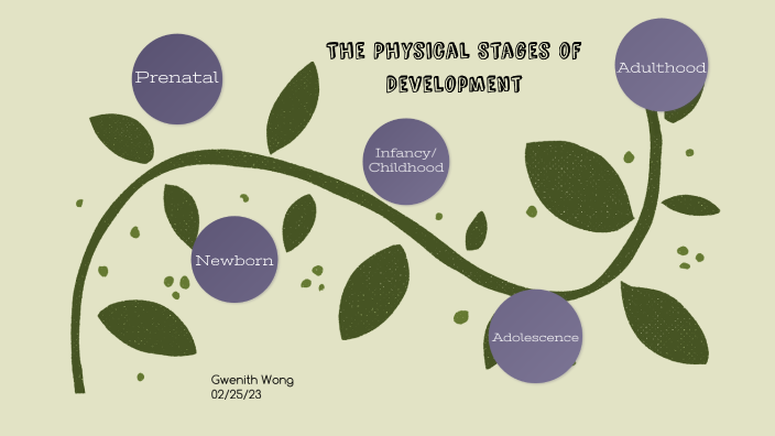 Physical Stages Of Development