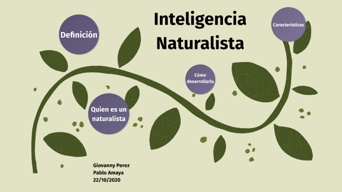 Definicion naturalista online