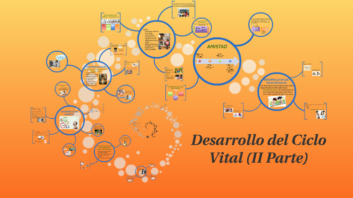 Desarrollo Del Ciclo Vital By Hansi Martinez 8697