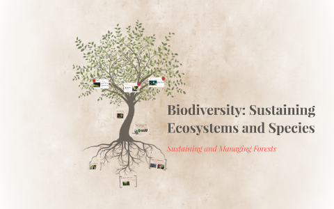 Biodiversity: Sustaining Ecosystems and Species by Gabriela Souza on Prezi