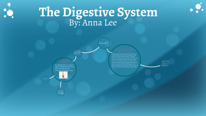 The Digestive System by Anna Lee on Prezi