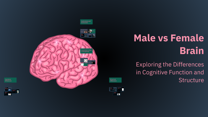 Male vs Female Brain by Berra Ersan on Prezi