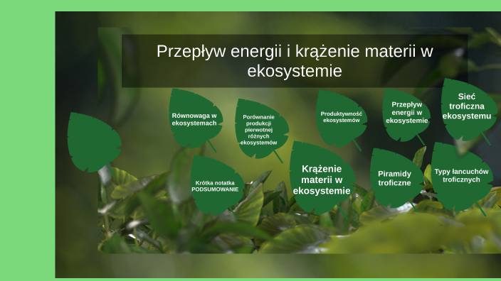 Przepływ Energii I Krążenie Materii W Ekosystemie By Julia Krypiakiewicz On Prezi 5765