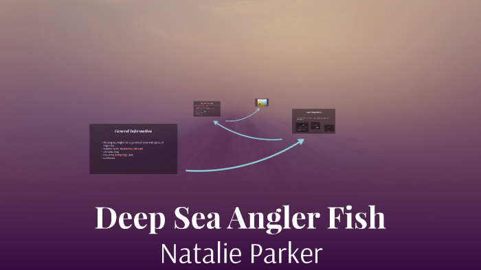 Deep Sea Anglerfish by Natalie Parker on Prezi