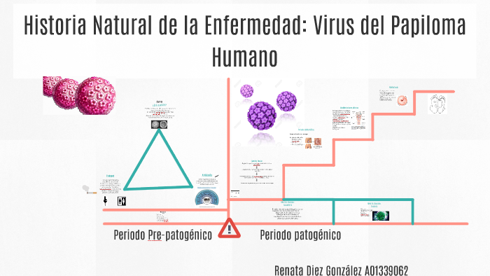 Historia Natural de la Enfermedad: Virus del Papiloma Humano by Renata