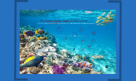 Das Great Barrier Reef Als Okosystem By Adriana Tregel