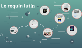 Le Requin Lutin By Angelina Khayat