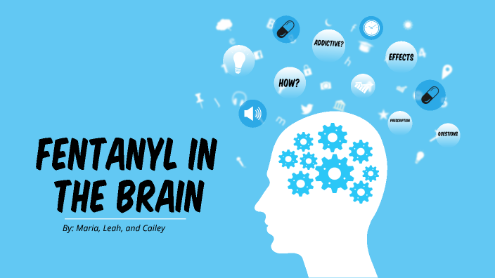 Fentanyl In The Brain By Maria Giumenta On Prezi Fentanyl In The Brain By Maria Giumenta On Prezi