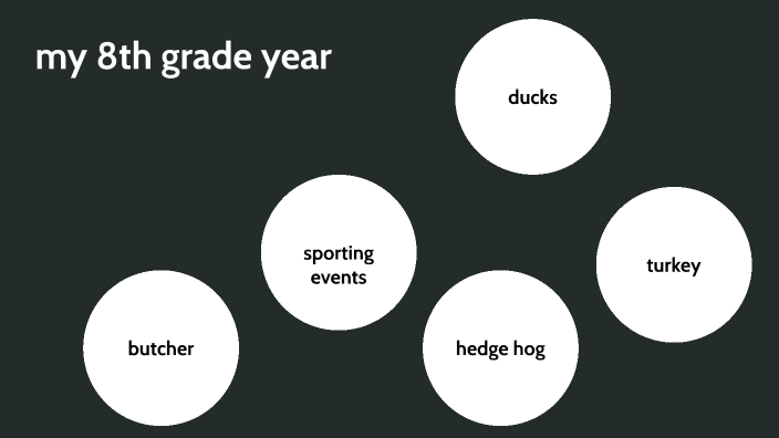 My 8th Grade Year By Zev Scheid my-8th-grade-year-by-zev-scheid