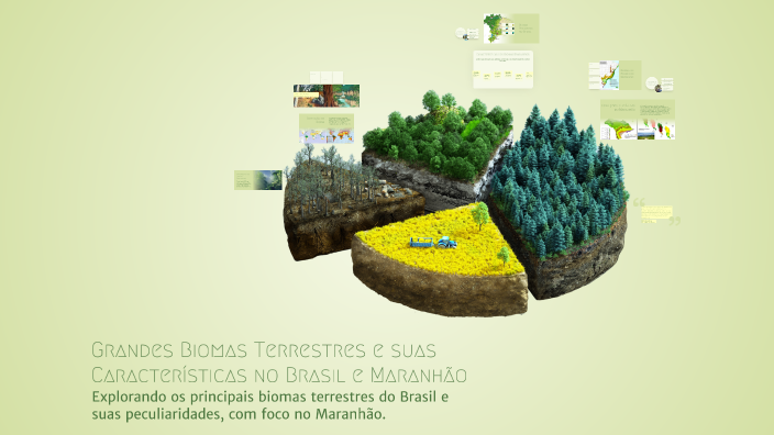 Grandes Biomas Terrestres e suas Características no Brasil e Maranhão ...