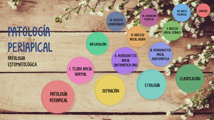 PATOLOGÍA PERIAPICAL (PATO E) by Soy Jjj on Prezi