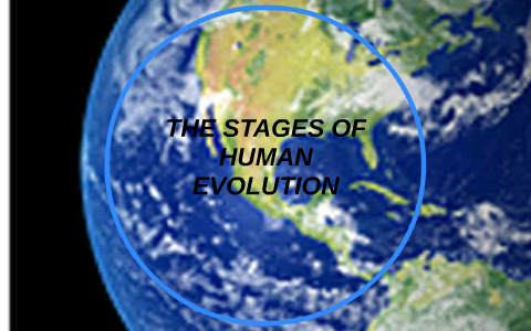 THE STAGES OF HUMAN EVOLUTION by Dianne Yumul on Prezi