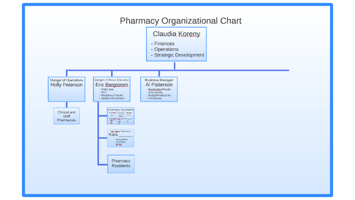 organizational chart of a drugstore - Lamer