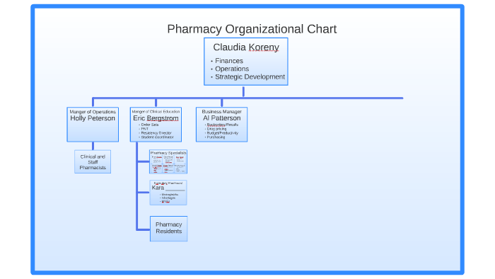 Organizational Chart Of A Drugstore