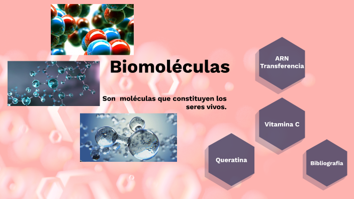 Biomoléculas by LUZ MARCELA DOMINGUEZ MILLAN on Prezi